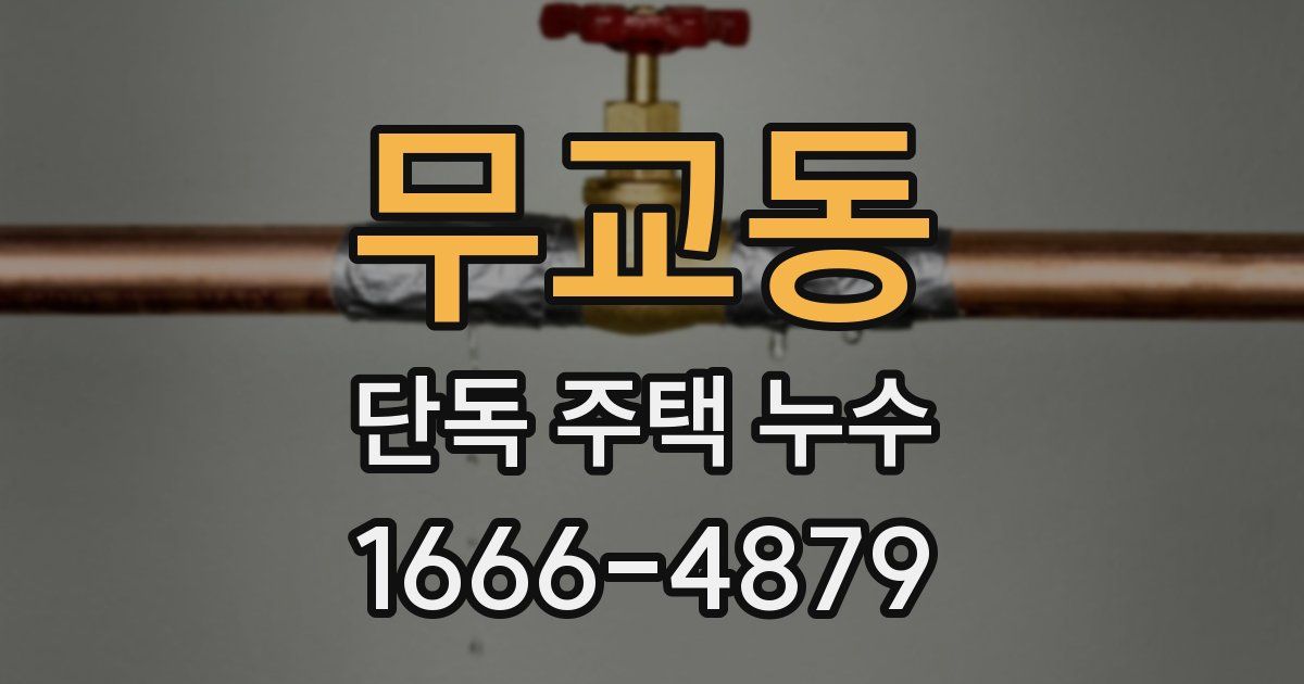 무교동 단독 주택 누수