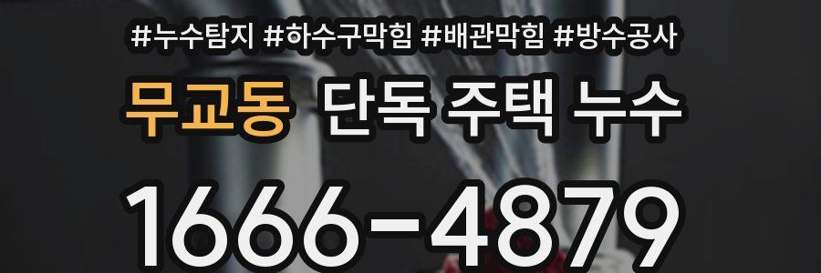 무교동 단독 주택 누수