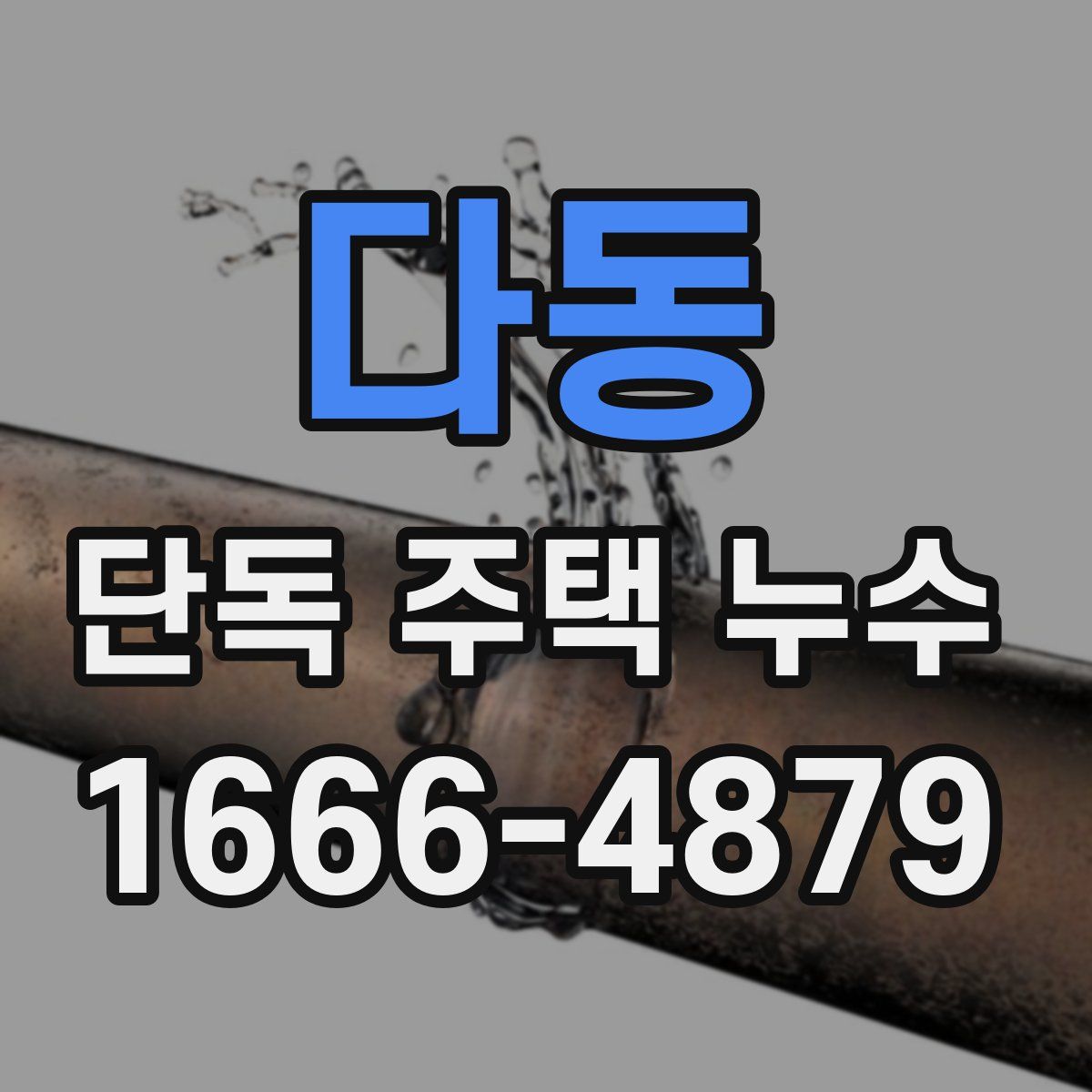 다동 단독 주택 누수