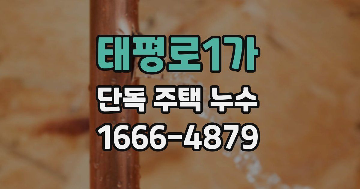 태평로1가 단독 주택 누수