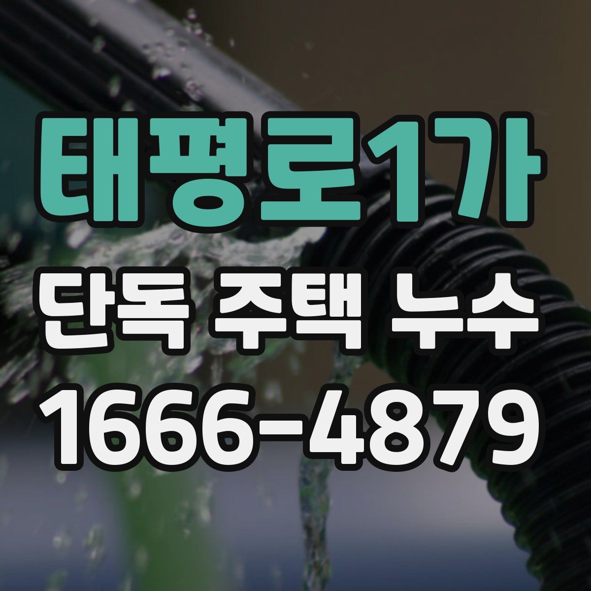 태평로1가 단독 주택 누수