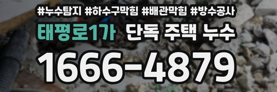 태평로1가 단독 주택 누수
