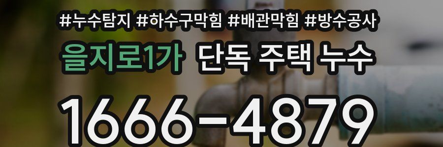 을지로1가 단독 주택 누수