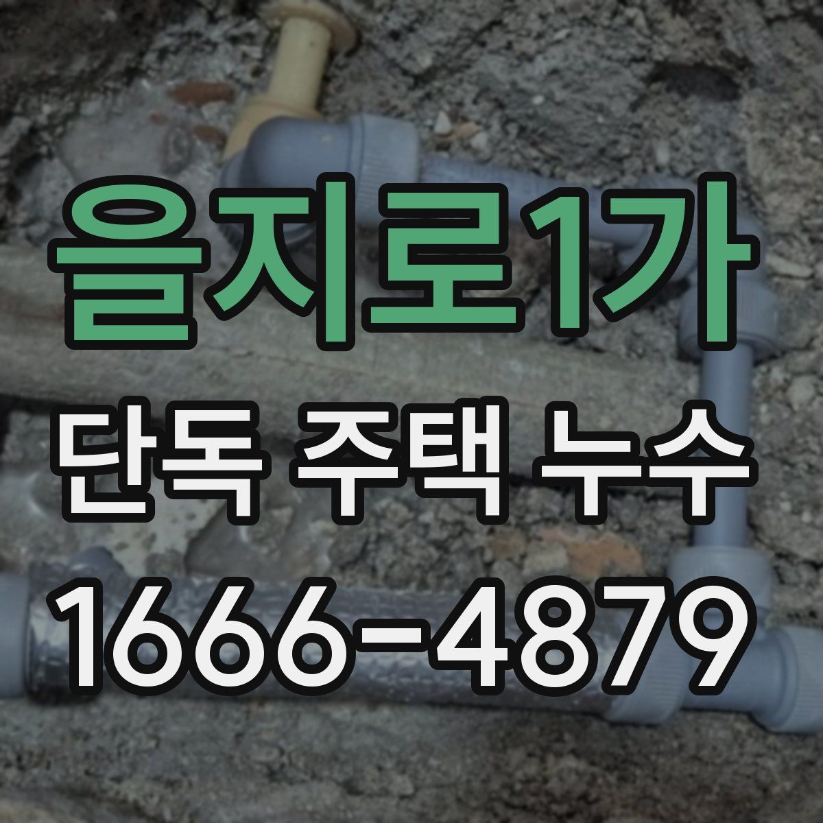 을지로1가 단독 주택 누수