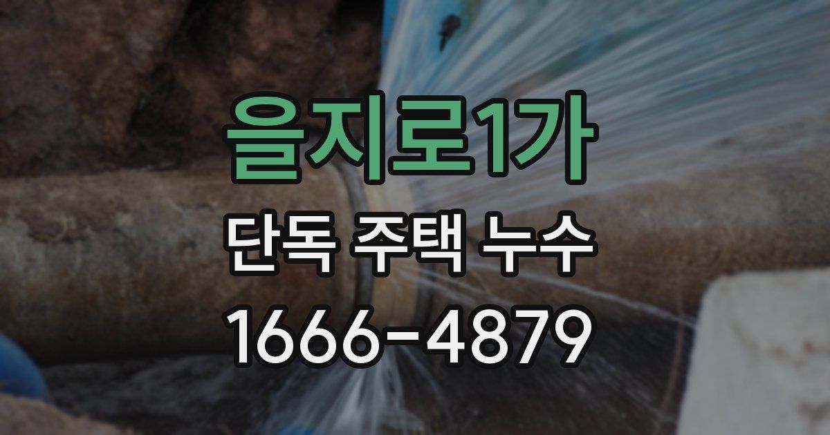 을지로1가 단독 주택 누수