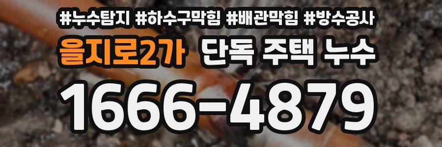 을지로2가 단독 주택 누수