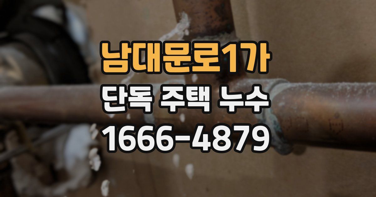 남대문로1가 단독 주택 누수