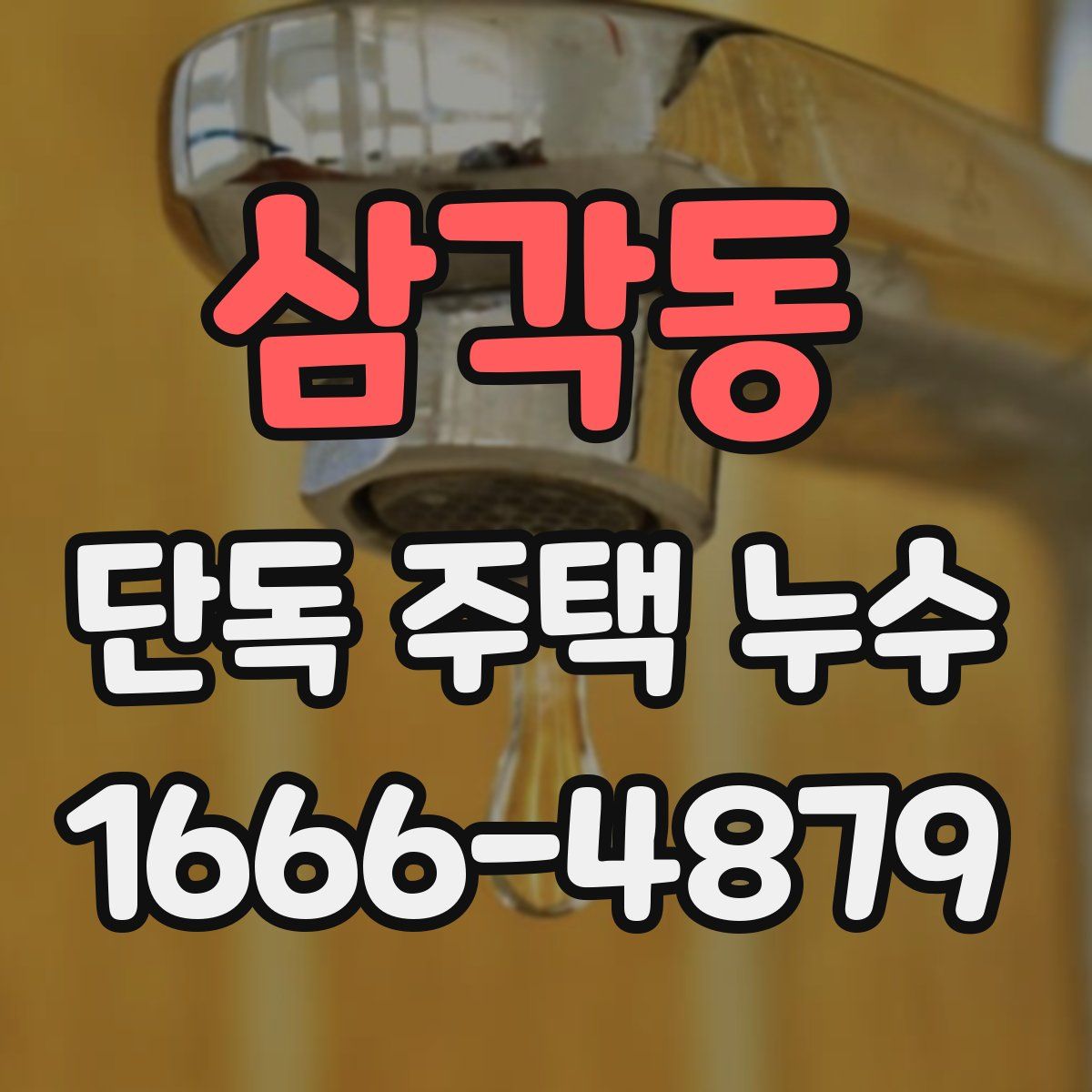 삼각동 단독 주택 누수