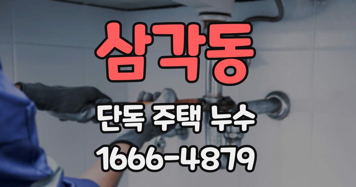 삼각동 단독 주택 누수