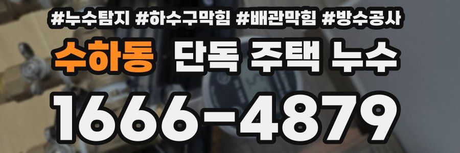 수하동 단독 주택 누수