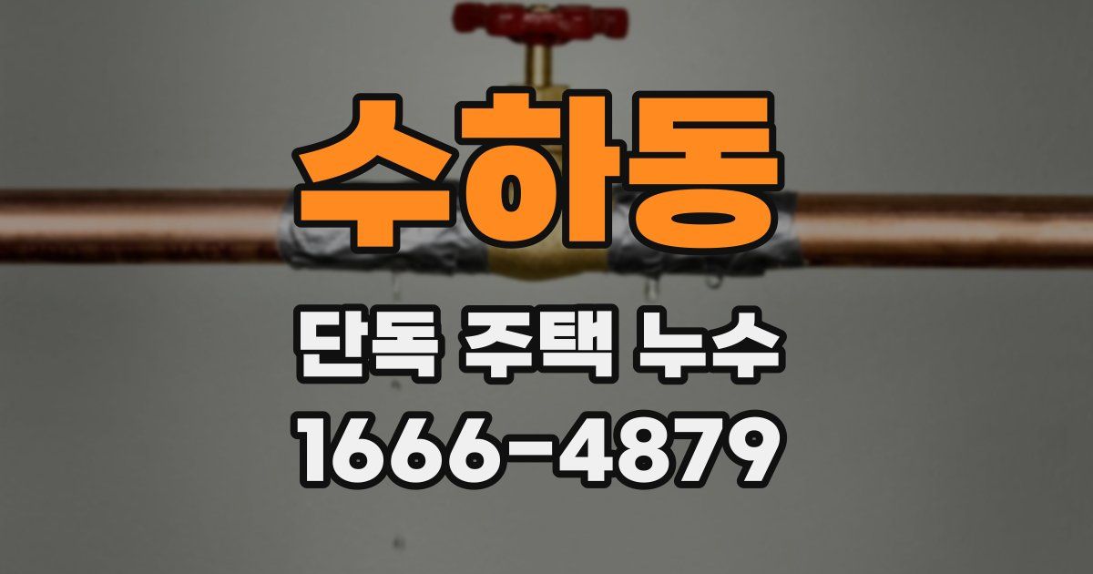 수하동 단독 주택 누수
