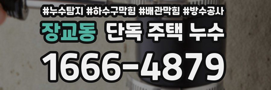 장교동 단독 주택 누수