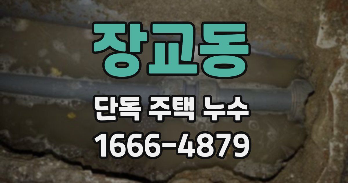 장교동 단독 주택 누수