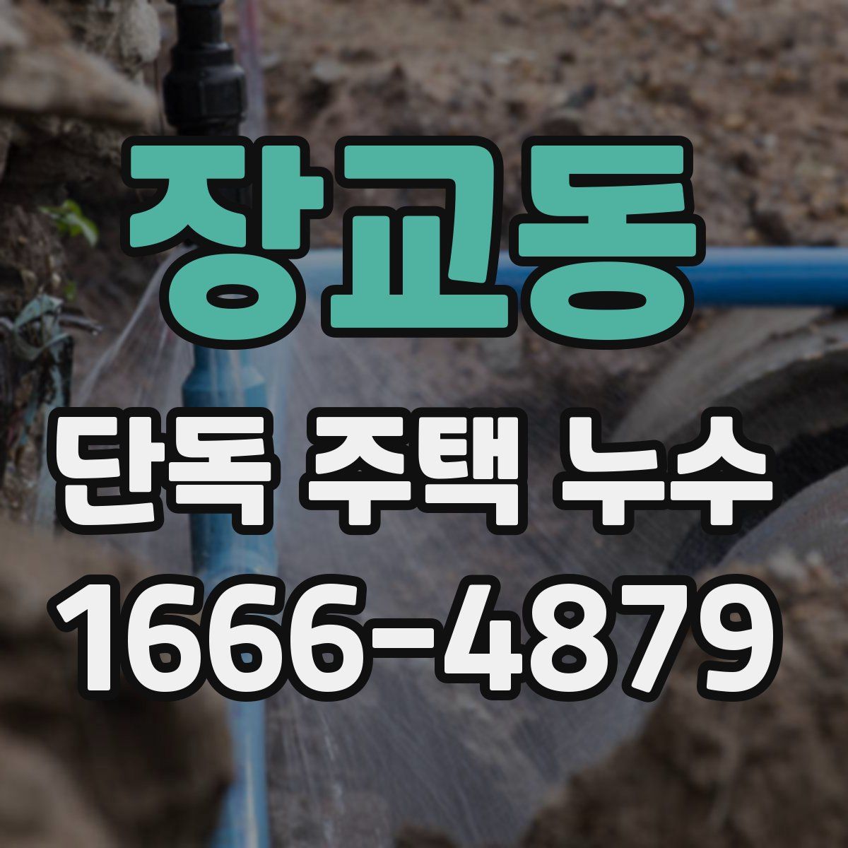 장교동 단독 주택 누수
