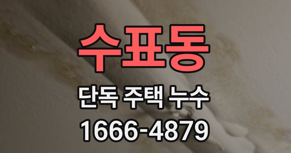 수표동 단독 주택 누수