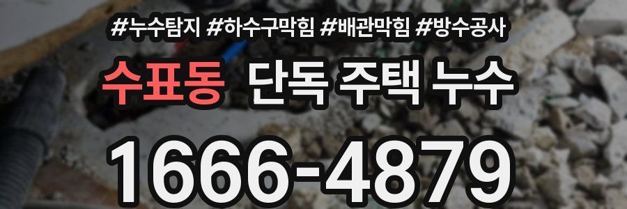 수표동 단독 주택 누수