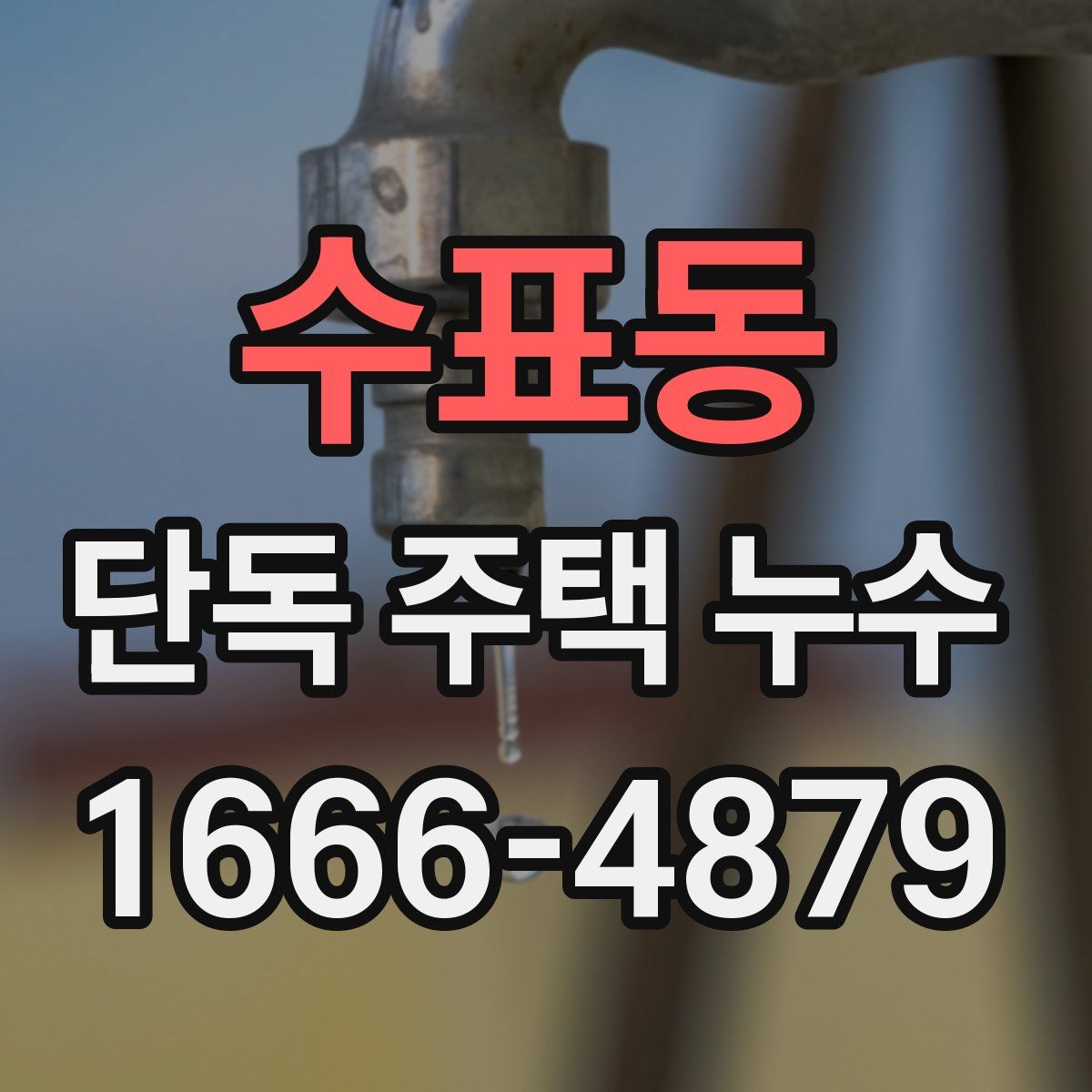 수표동 단독 주택 누수