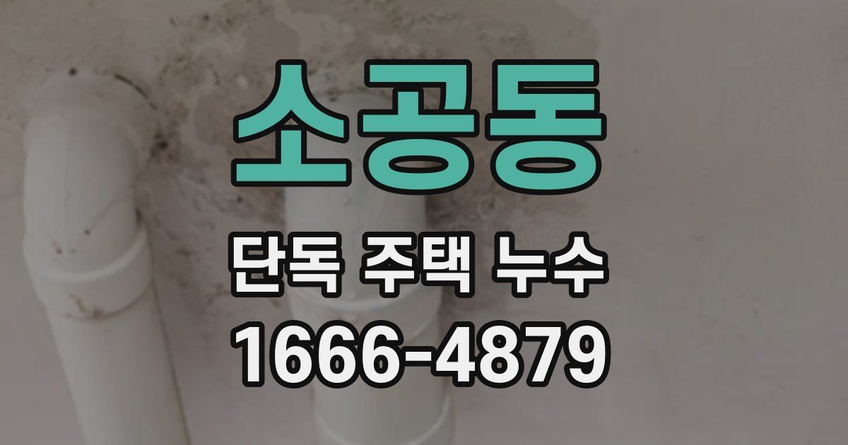 소공동 단독 주택 누수