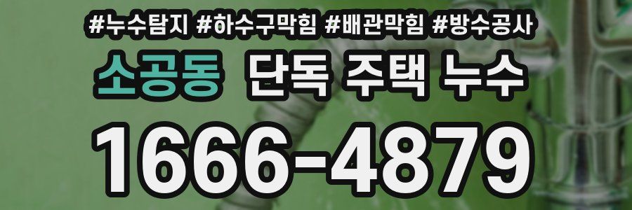 소공동 단독 주택 누수