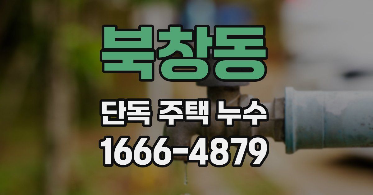 북창동 단독 주택 누수