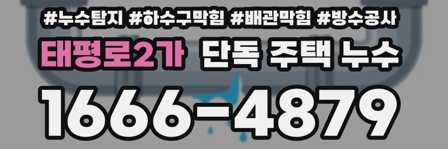 태평로2가 단독 주택 누수
