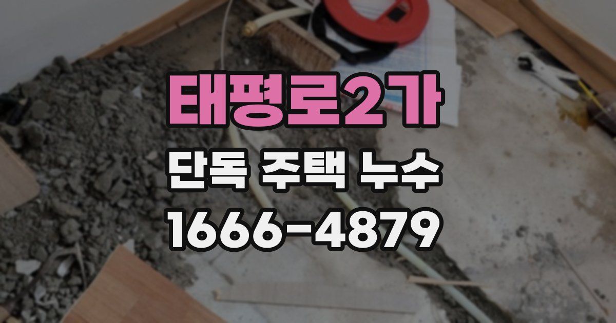 태평로2가 단독 주택 누수