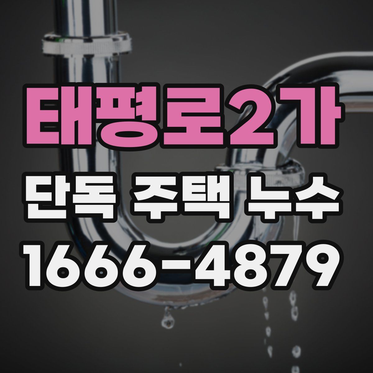 태평로2가 단독 주택 누수