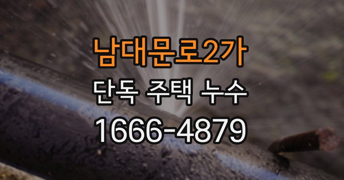 남대문로2가 단독 주택 누수