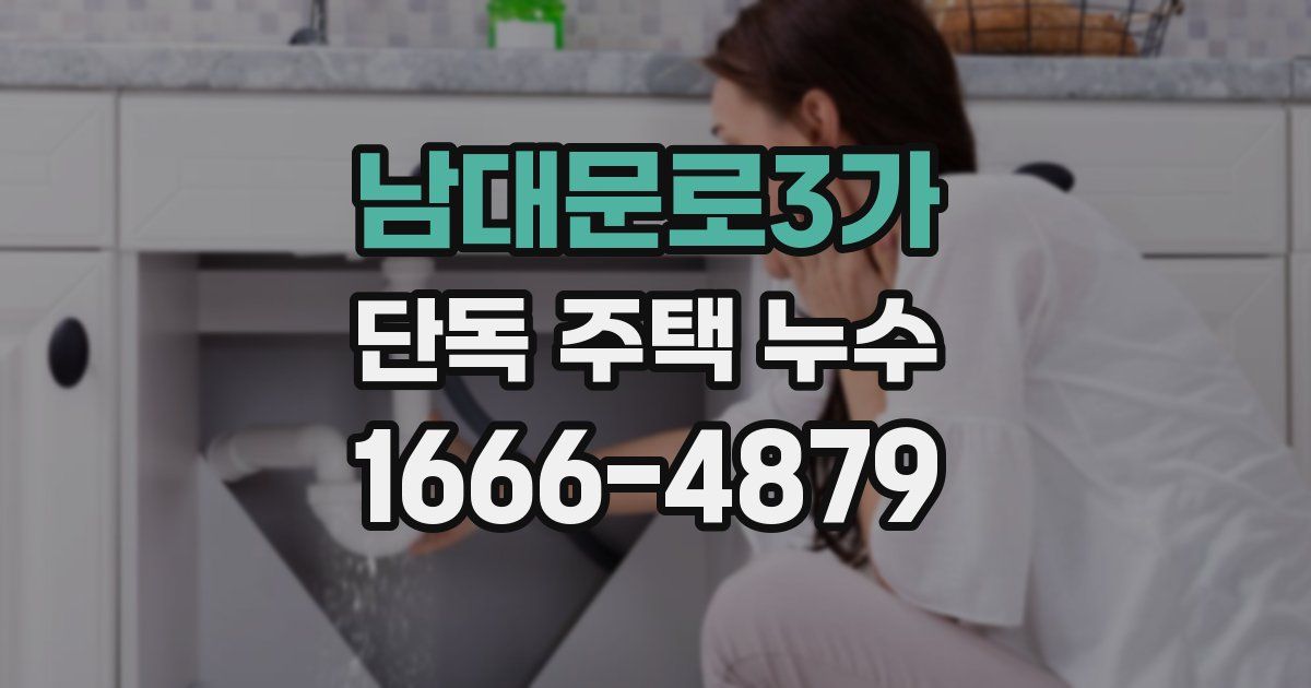 남대문로3가 단독 주택 누수