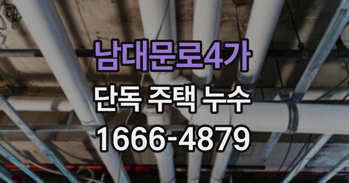 남대문로4가 단독 주택 누수
