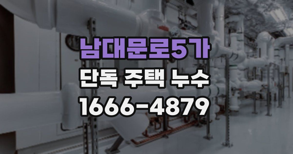 남대문로5가 단독 주택 누수