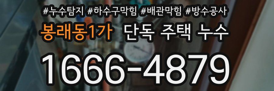 봉래동1가 단독 주택 누수