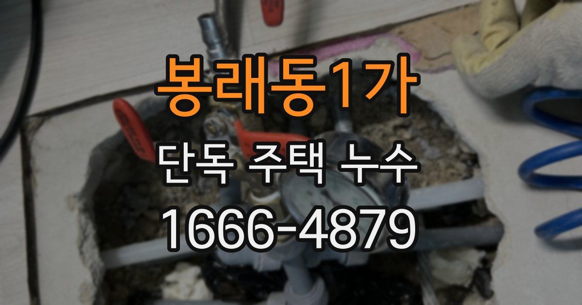 봉래동1가 단독 주택 누수