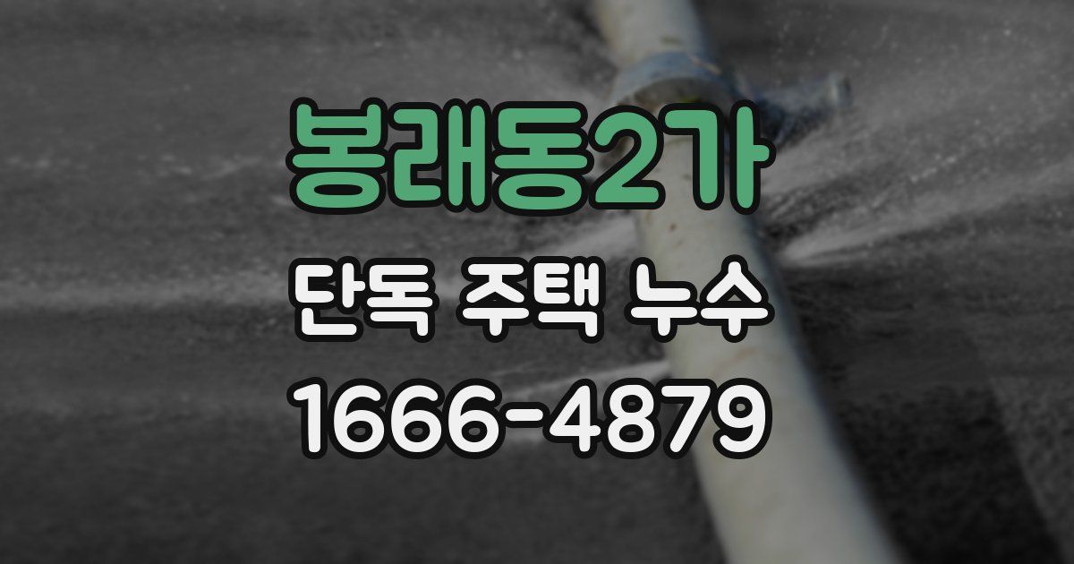 봉래동2가 단독 주택 누수