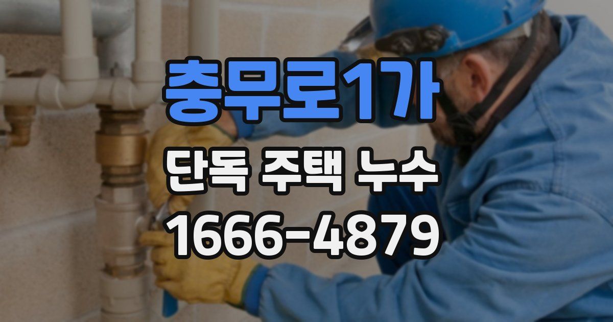 충무로1가 단독 주택 누수
