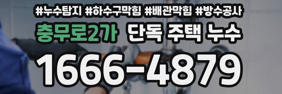 충무로2가 단독 주택 누수