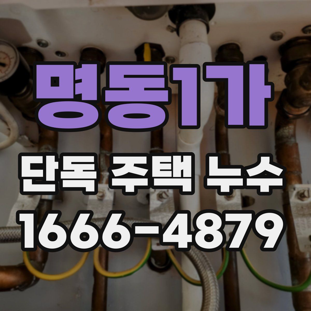 명동1가 단독 주택 누수