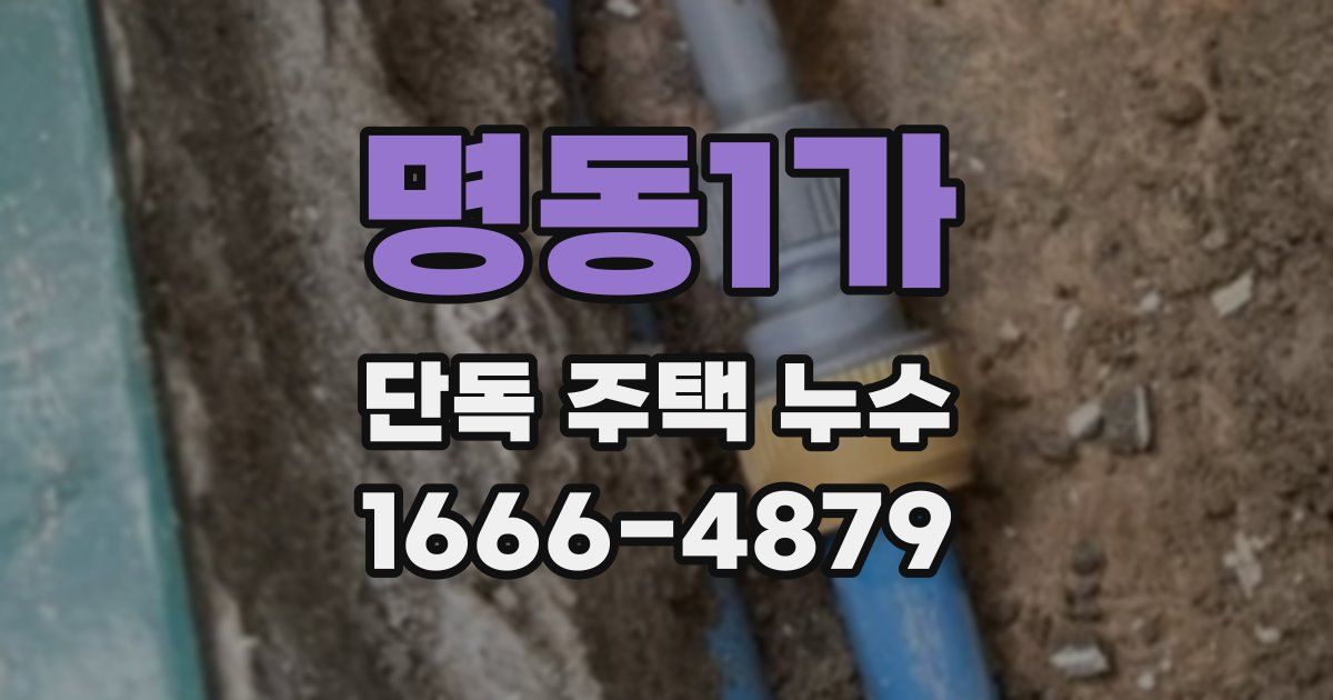 명동1가 단독 주택 누수