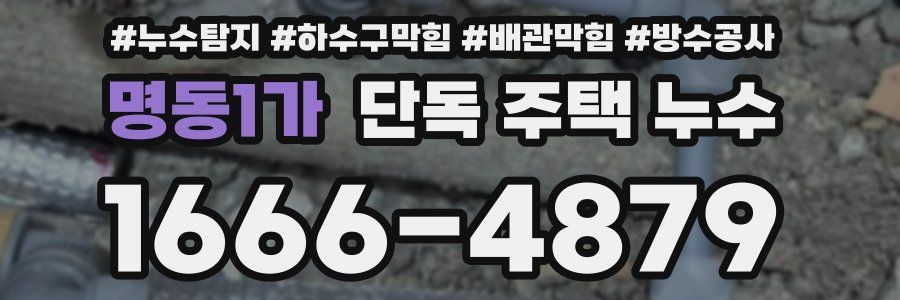 명동1가 단독 주택 누수