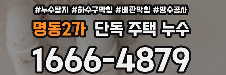 명동2가 단독 주택 누수
