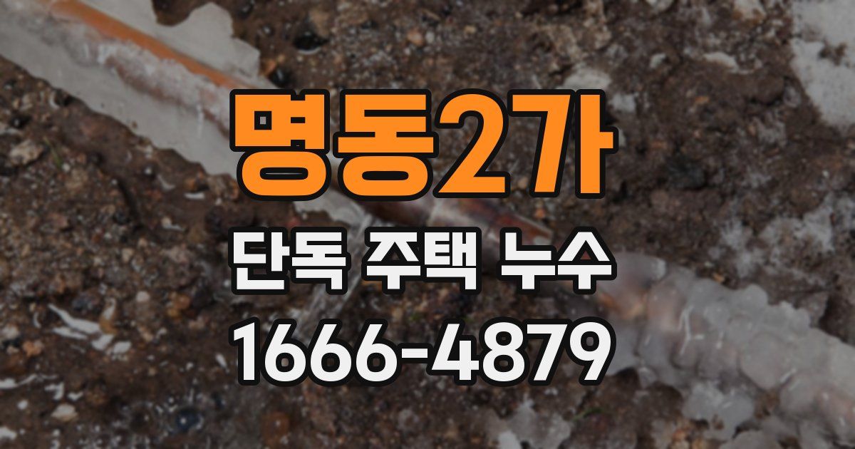 명동2가 단독 주택 누수
