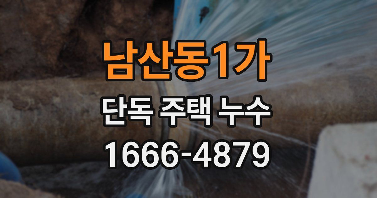 남산동1가 단독 주택 누수