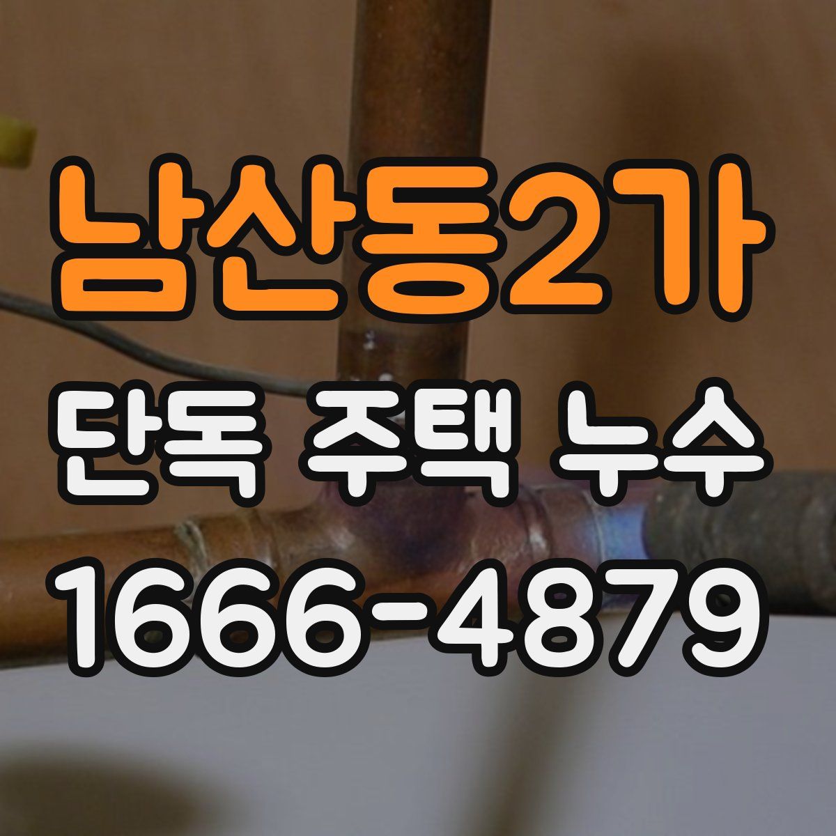 남산동2가 단독 주택 누수