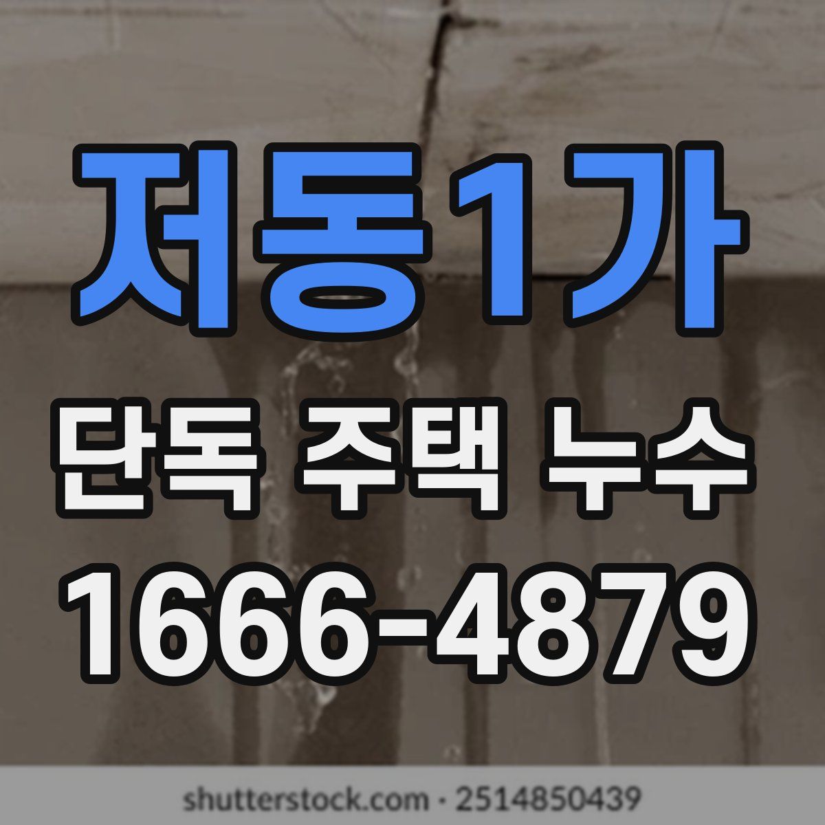 저동1가 단독 주택 누수