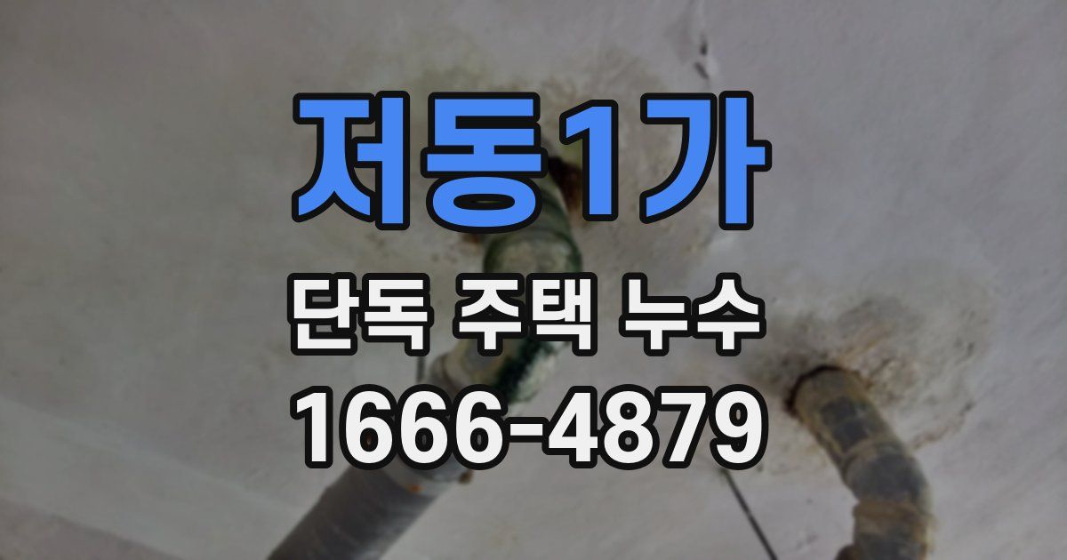 저동1가 단독 주택 누수