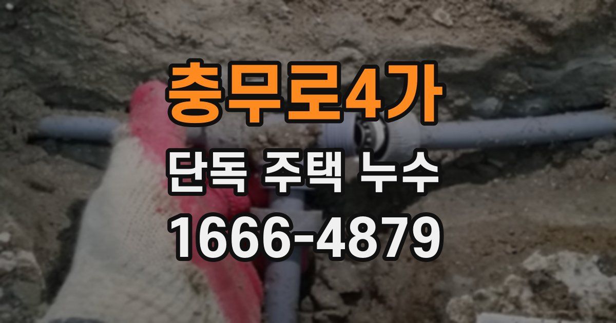 충무로4가 단독 주택 누수