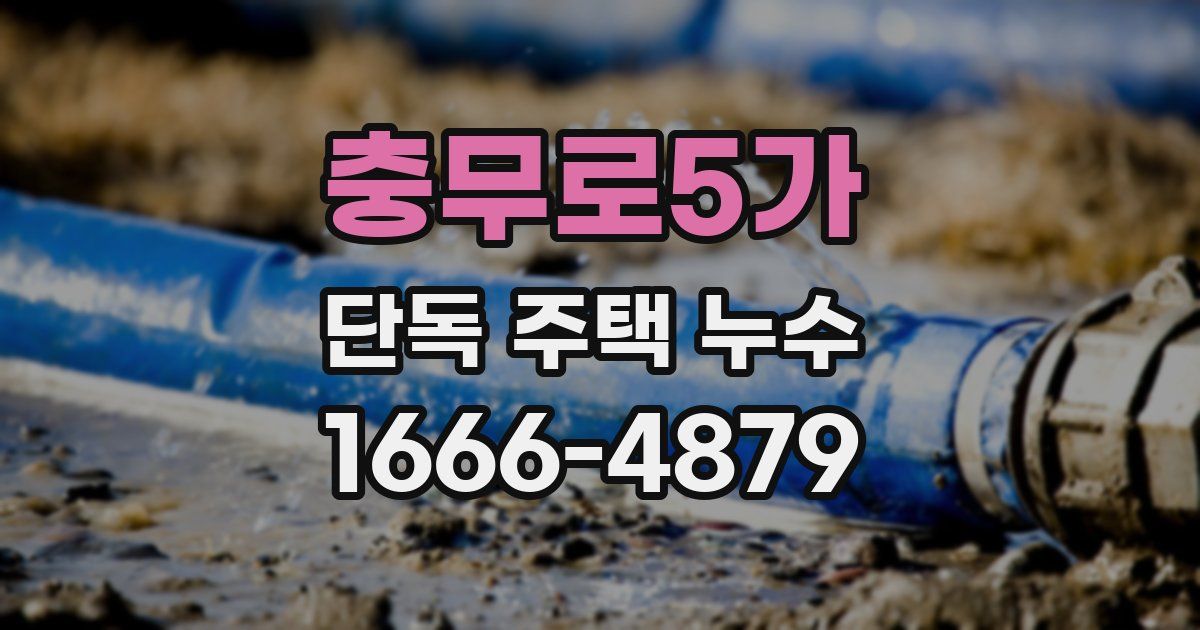충무로5가 단독 주택 누수