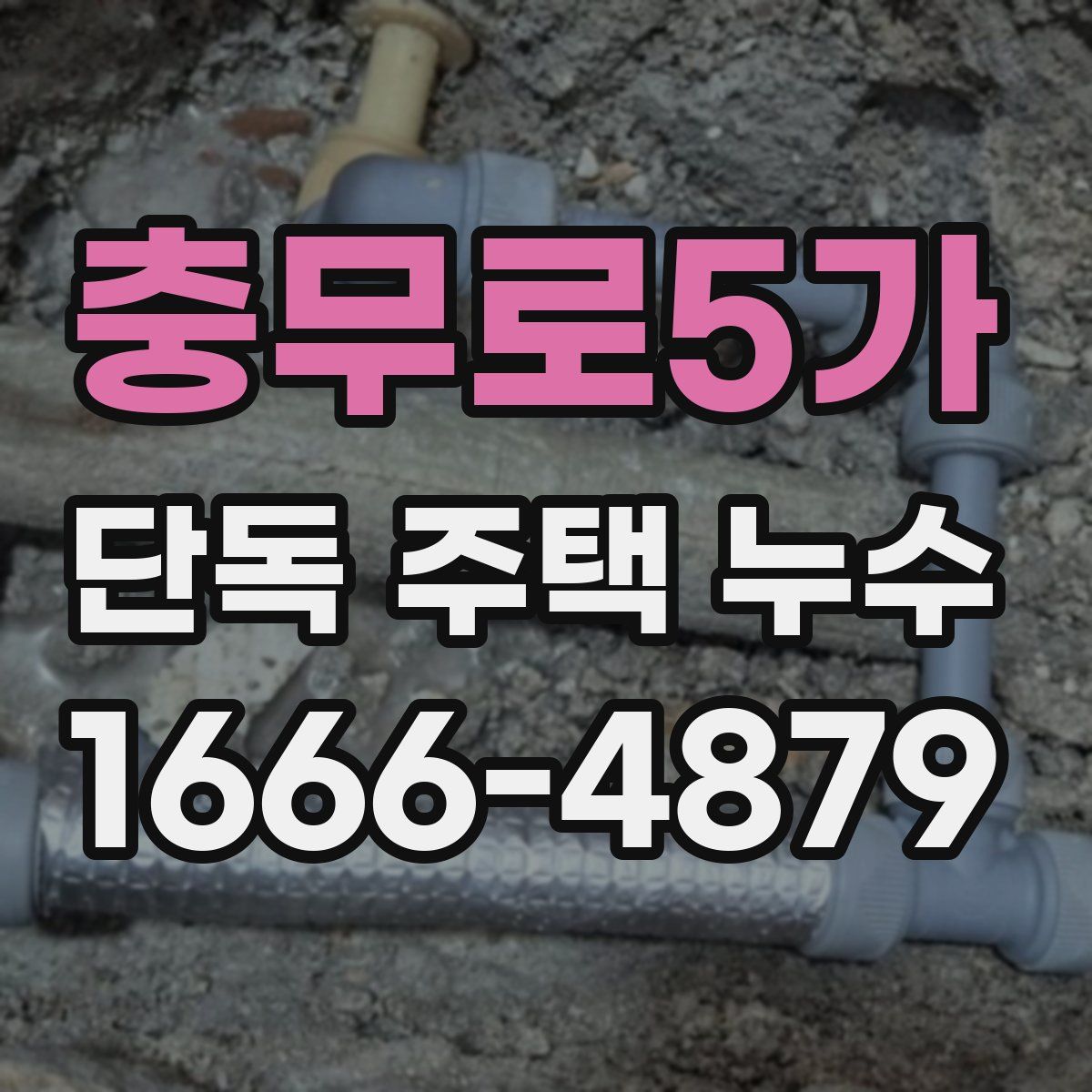 충무로5가 단독 주택 누수