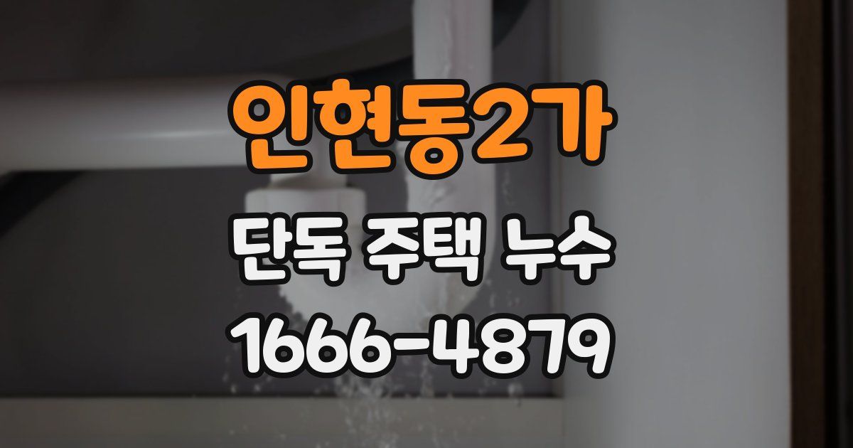 인현동2가 단독 주택 누수
