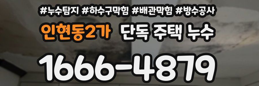 인현동2가 단독 주택 누수